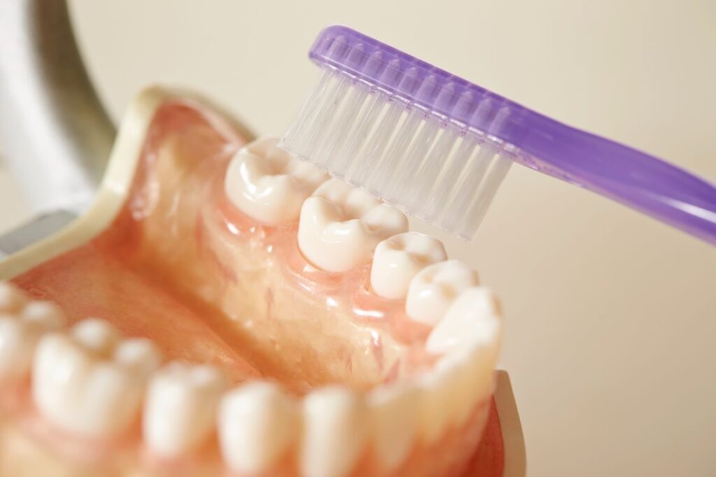 A pair of dentures being scrubbed with a toothbrush.